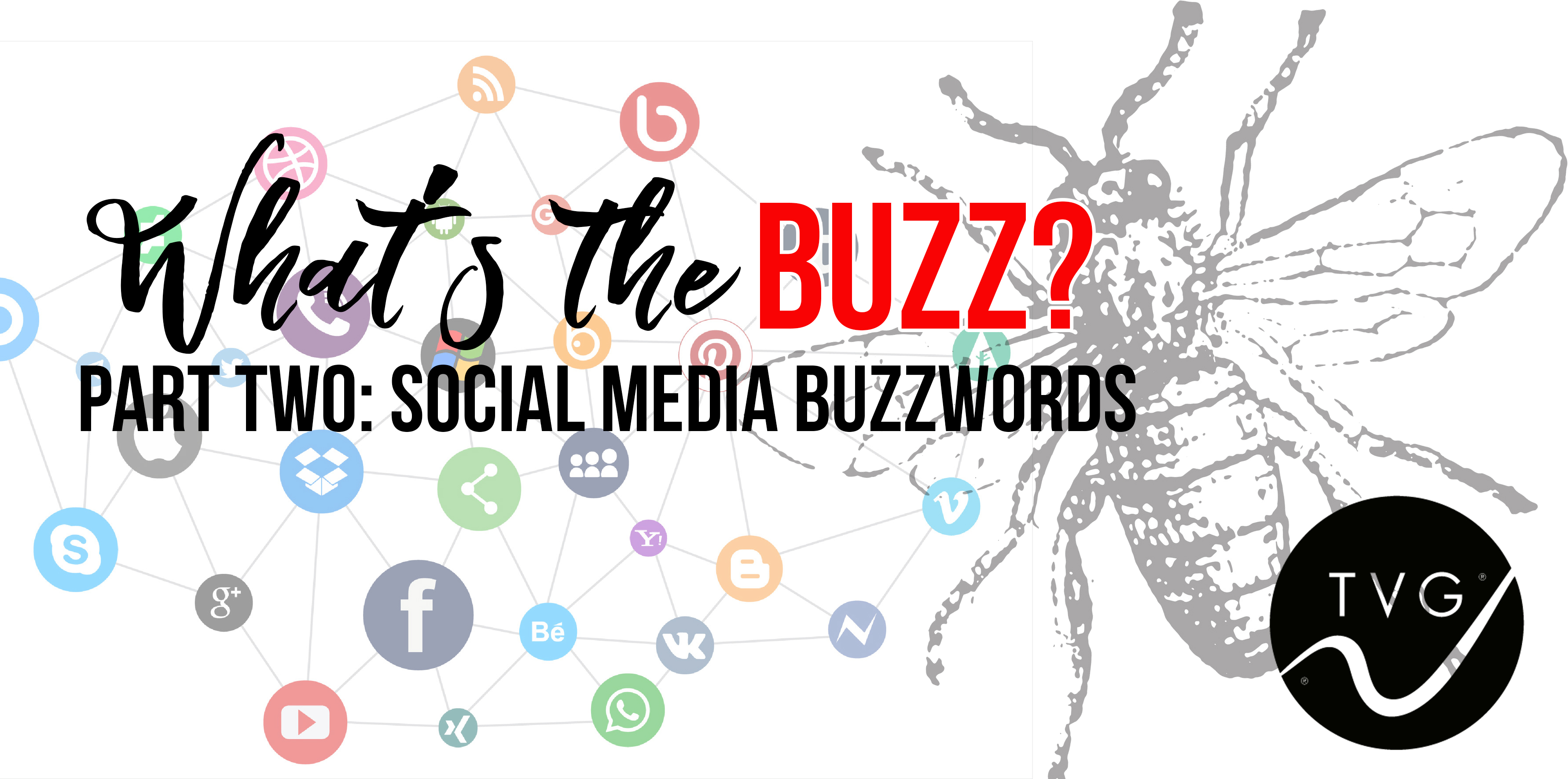whats the buzz social media buzzwords - The Vandiver Group | Building ...