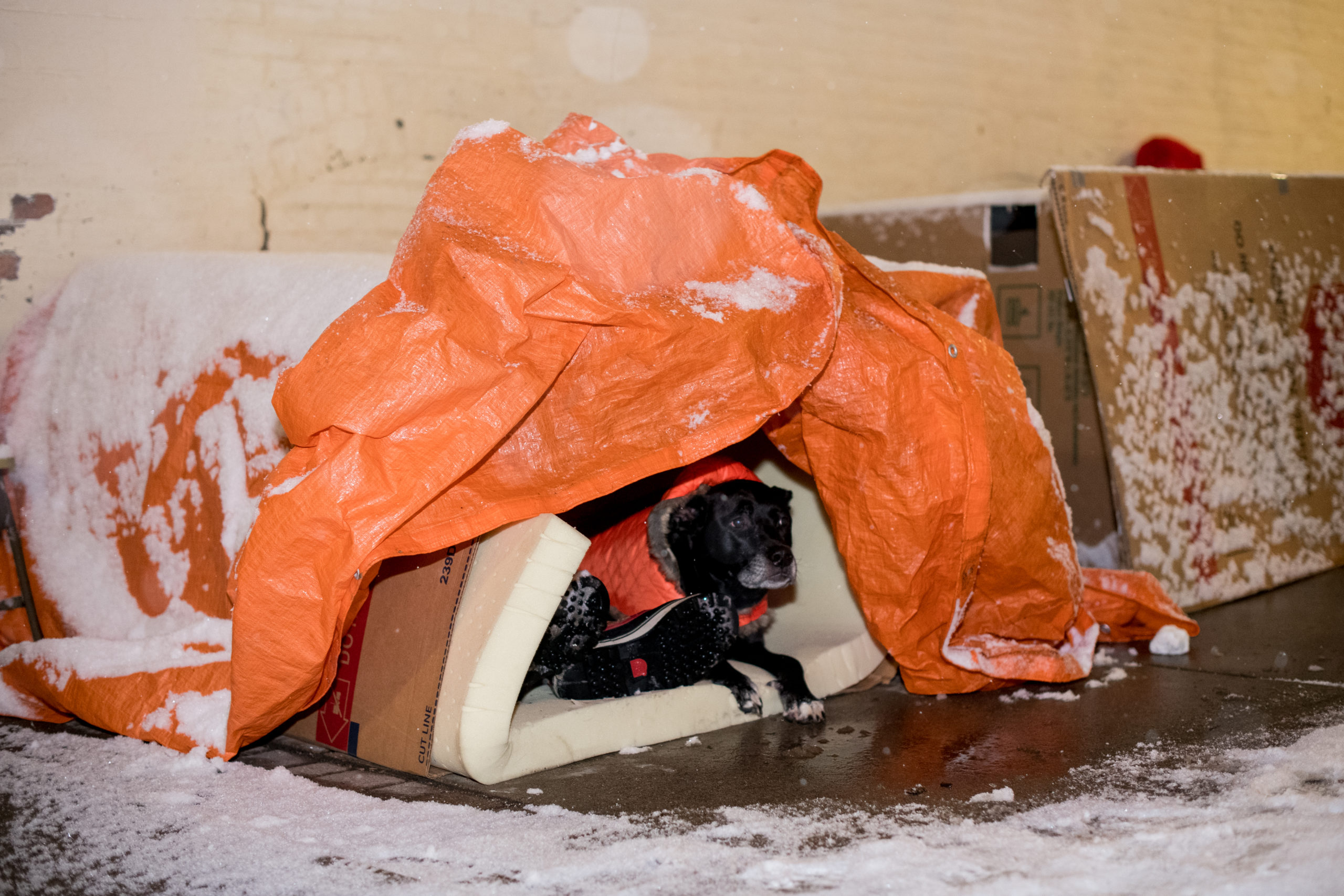 Sleeping Outside In A Cardboard Box Raising Awareness For The Homeless